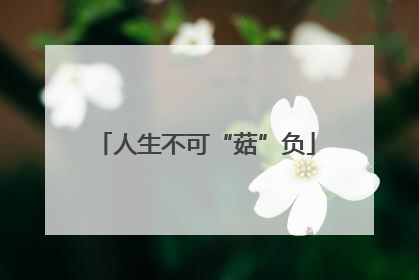 人生不可“菇”负