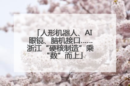 人形机器人、AI眼镜、脑机接口……浙江“硬核制造”乘“数”而上