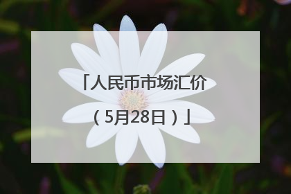 人民币市场汇价（5月28日）