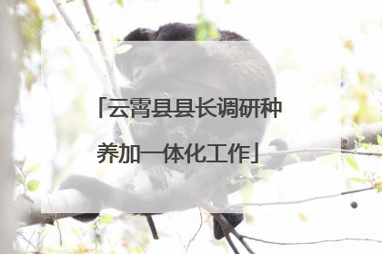云霄县县长调研种养加一体化工作