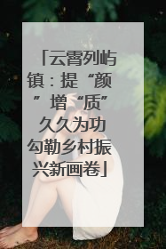 云霄列屿镇：提“颜”增“质” 久久为功勾勒乡村振兴新画卷