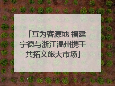 互为客源地 福建宁德与浙江温州携手共拓文旅大市场