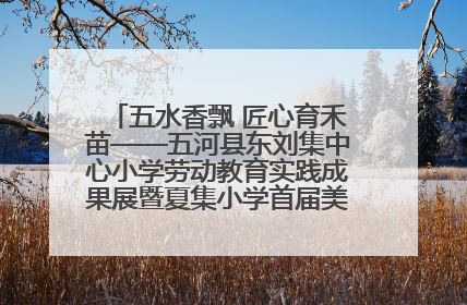 五水香飘 匠心育禾苗——五河县东刘集中心小学劳动教育实践成果展暨夏集小学首届美食节盛大举行