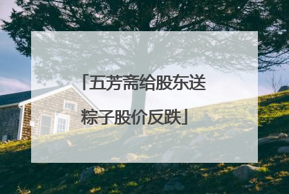 五芳斋给股东送粽子股价反跌