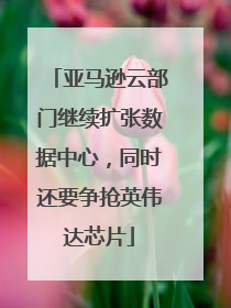 亚马逊云部门继续扩张数据中心，同时还要争抢英伟达芯片