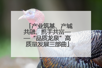 产业筑基、产城共融、携手共富——“品质龙泉”高质量发展三部曲