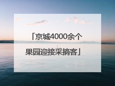 京城4000余个果园迎接采摘客