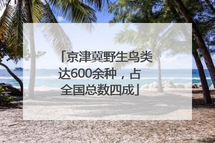 京津冀野生鸟类达600余种，占全国总数四成