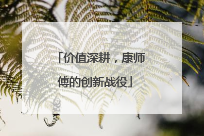 价值深耕，康师傅的创新战役