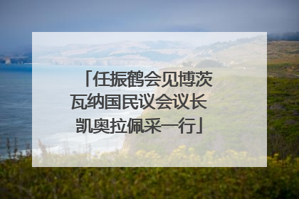 任振鹤会见博茨瓦纳国民议会议长凯奥拉佩采一行