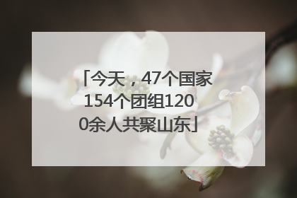 今天，47个国家154个团组1200余人共聚山东