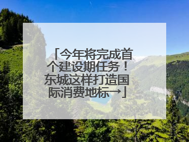 今年将完成首个建设期任务！东城这样打造国际消费地标→
