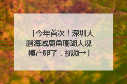 今年首次！深圳大鹏海域鹿角珊瑚大规模产卵了，视频→