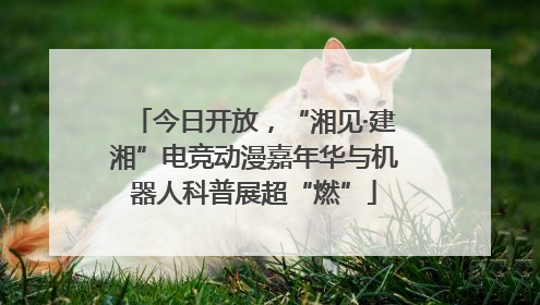 今日开放，“湘见·建湘”电竞动漫嘉年华与机器人科普展超“燃”