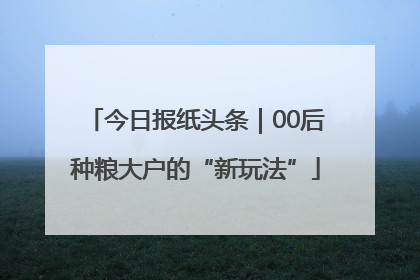 今日报纸头条｜00后种粮大户的“新玩法”