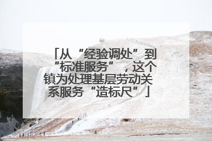从“经验调处”到“标准服务”，这个镇为处理基层劳动关系服务“造标尺”