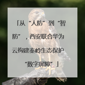 从“人防”到“智防”，西安联合华为云构建秦岭生态保护“数字屏障”