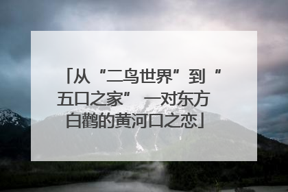 从“二鸟世界”到“五口之家” 一对东方白鹳的黄河口之恋