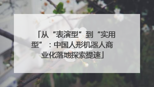 从“表演型”到“实用型”：中国人形机器人商业化落地探索提速