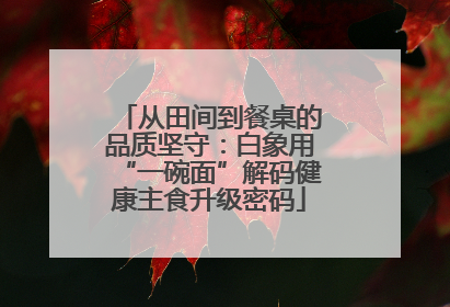从田间到餐桌的品质坚守：白象用“一碗面”解码健康主食升级密码