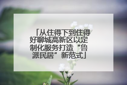 从住得下到住得好聊城高新区以定制化服务打造“鲁派民居”新范式