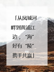从凤城河畔到黄浦江边，“海”好有“陵”携手共赢