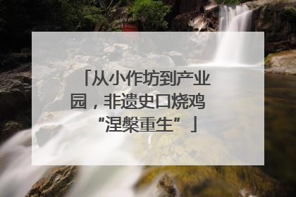 从小作坊到产业园，非遗史口烧鸡“涅槃重生”