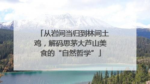 从岩间当归到林间土鸡，解码思茅大芦山美食的“自然哲学”