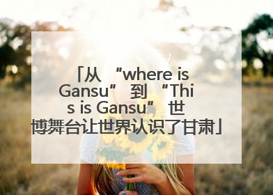 从 “where is Gansu” 到 “This is Gansu” 世博舞台让世界认识了甘肃