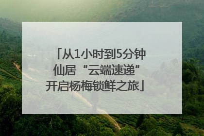 从1小时到5分钟 仙居“云端速递”开启杨梅锁鲜之旅