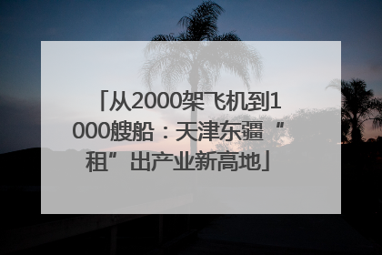 从2000架飞机到1000艘船：天津东疆“租”出产业新高地