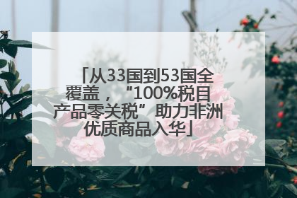 从33国到53国全覆盖，“100%税目产品零关税”助力非洲优质商品入华