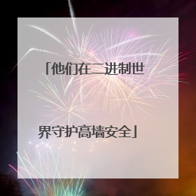 他们在二进制世界守护高墙安全