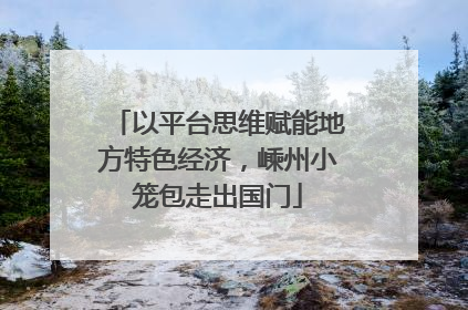以平台思维赋能地方特色经济，嵊州小笼包走出国门