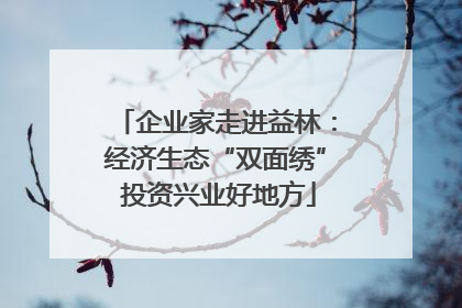 企业家走进益林：经济生态“双面绣” 投资兴业好地方
