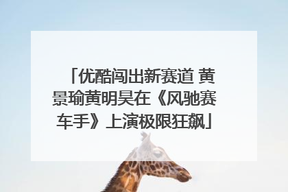优酷闯出新赛道 黄景瑜黄明昊在《风驰赛车手》上演极限狂飙