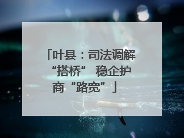 叶县：司法调解“搭桥” 稳企护商“路宽”