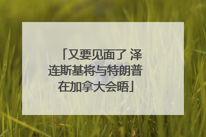 又要见面了 泽连斯基将与特朗普在加拿大会晤