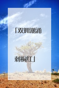 双拥潮涌刺桐红