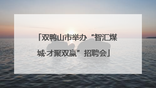 双鸭山市举办“智汇煤城·才聚双赢”招聘会