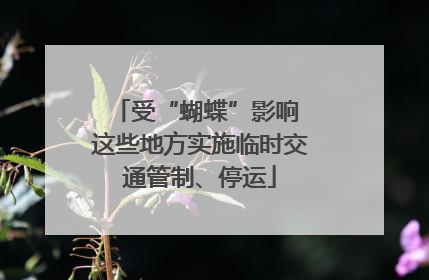 受“蝴蝶”影响 这些地方实施临时交通管制、停运