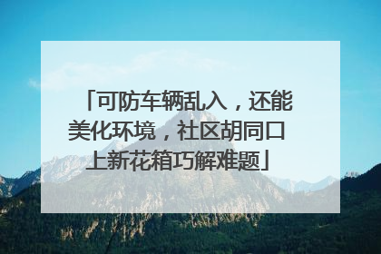可防车辆乱入，还能美化环境，社区胡同口上新花箱巧解难题