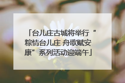 台儿庄古城将举行“粽情台儿庄 舟歌赋安康”系列活动迎端午