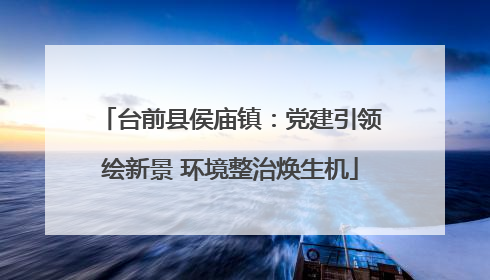 台前县侯庙镇：党建引领绘新景 环境整治焕生机