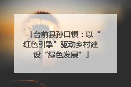 台前县孙口镇：以“红色引擎”驱动乡村建设“绿色发展”