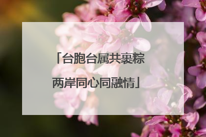 台胞台属共裹粽 两岸同心同融情