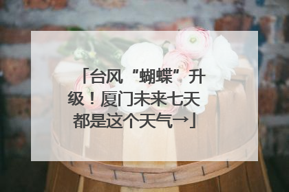 台风“蝴蝶”升级！厦门未来七天都是这个天气→