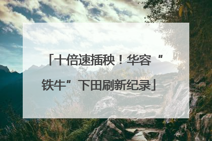 十倍速插秧！华容“铁牛”下田刷新纪录