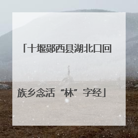十堰郧西县湖北口回族乡念活“林”字经