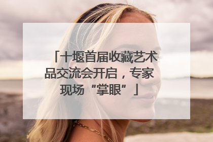 十堰首届收藏艺术品交流会开启，专家现场“掌眼”